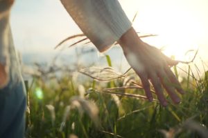 Nutrient Timing Basics for Active Individuals