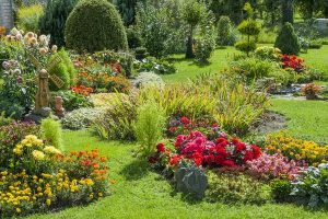 Fertilizing Your Garden: A Personal Take