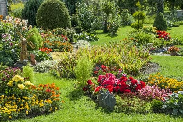 Fertilizing Your Garden: A Personal Take