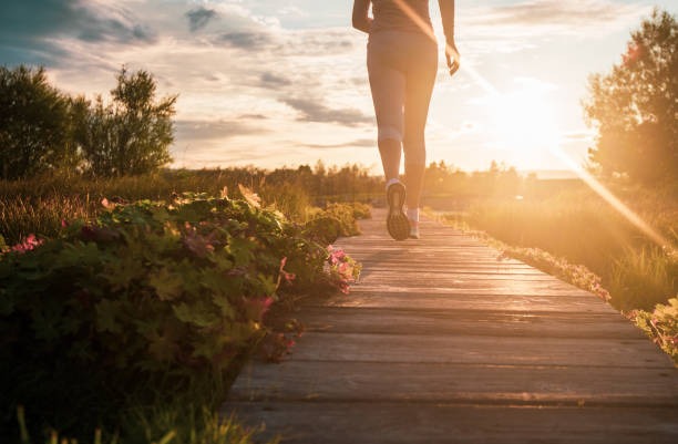 Building a Sustainable Health Routine